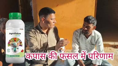 कपास की फसल में परिणाम अग्रसत्व प्लस #कपास #निमाड़