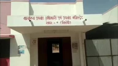 रेवदर: रेवदर के दांतराई-अनापुर मार्ग पर मृत मिला भालू का शावक, वन विभाग में मचा हड़कंप, टीम मौके पर पहुंची