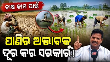 ବର୍ଷା ଅଭାବ ଯୋଗୁ ଧାନ ତଳି ରୁଆ ପୋତା ରେ ବିଳମ୍ବତା ପାଇଁ ଚିନ୍ତାରେ ଚାଷୀ ||CHARCHA NEWS