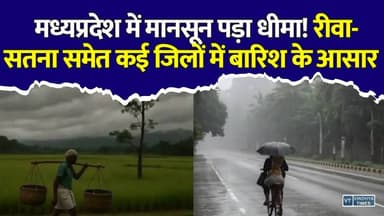 MP में बारिश पर ब्रेक! रीवा-सतना समेत इन जिलों में फिर बरसेंगे बादल
#MPWeather #Monsoon #RainAlert #IMD #MadhyaPradesh #Rewa #Satna #WeatherUpdate #MPNews #BreakingNews #Rain #Thunderstorm #WeatherForecast #Vindhya #LatestNews