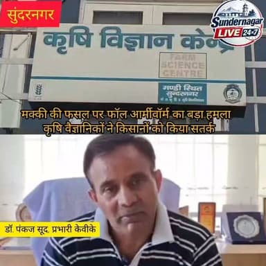 हिमाचल में मक्की की फसल पर 'फॉल आर्मीवॉर्म' का बड़ा हमला, कृषि वैज्ञानिकों ने किसानों को किया सतर्क।
नियंत्रण के लिए क्लोरेंट्रानिलिप्रोल (कोराजन) 0.4 मिलीलीटर प्रति लीटर पानी या इमामेक्टिन बेंजोएट के छिड़काव की सलाह।