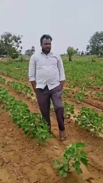 ఏమి మామ వానలు రావు #రైతుకష్టాలు #tbnagriculture
