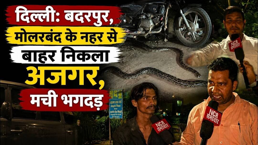 दिल्ली: बदरपुर, मोलरबंद के नहर से बाहर निकला अजगर, मची भगदड़ ! #python #snakerescue