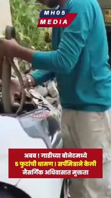 अंबरनाथ पूर्वेच्या शिव गंगा परिसरात चारचाकी वाहनाच्या बोनेटमध्ये ५ फुटांचा धामण साप.