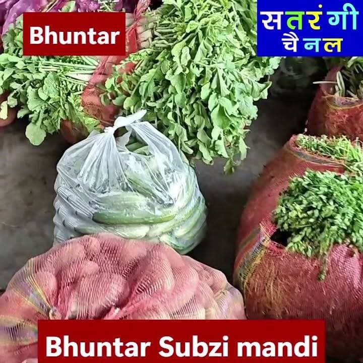 भुंतर सब्ज़ी मंडी में आज दिनांक 14 जुलाई को सब्ज़ियों और फ़लों के थोक भाव इस प्रकार रहे | इन रेट में परिवर्तन हो सकता है | देखें वीडियो....
#bhuntarsubzimandi #takolisubzimandii #satrangichannel #solansubzimandi #azadpursubzimandi