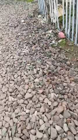 गेट नं 13 परसौरा गेट पर दिन में ही गेट मेन सौरभ यादव आराम से सोता हुआ रेलवे प्रशासन की लापरवाही लोगो को लम्बा इंतजार