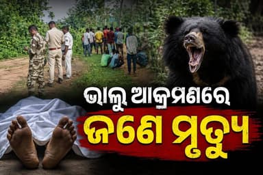 #ଭାଲୁ_ଆକ୍ରମଣରେ_ଜଣେ_ମୃତ୍ୟୁ
#jharigan
#Nabaragpur
#Odisha
#OdishaNews
#OdiaNews
#Update
#LatestNews
#NewsUpdate
#LatestUpdates
#viralpost
#odishrilive