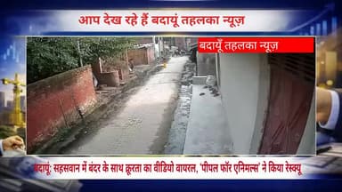 बदायूं: सहसवान में बंदर के साथ क्रूरता का वीडियो वायरल, ‘पीपल फॉर एनिमल्स’ ने किया रेस्क्यू