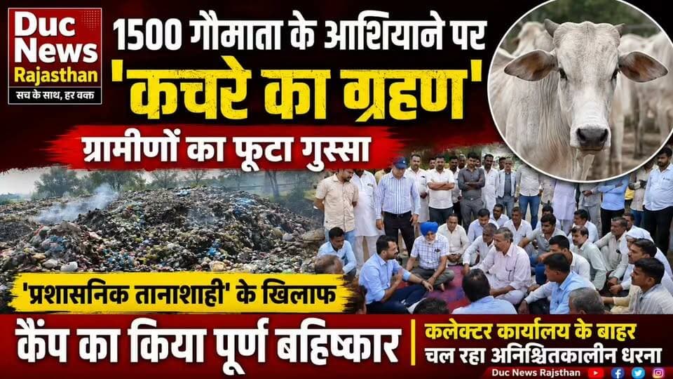 बड़ी खबर:1500 गौमाता के आशियाने पर 'कचरे का ग्रहण' ग्रामीणों का फूटा गुस्सा, 'प्रशासनिक तानाशाही' के खिलाफ कैंप का किया पूर्ण बहिष्कार
#SaveGaumata #श्रीगंगानगर_प्रशासन_मूर्दाबाद #कचरा_प्लांट_हटाओ #नरसिंहपुरा_बिरानी_आंदोलन #गौशाला_बचाओ_आंदोलन #FarmersProtest2026 #श्रीगंगानगर #SaveLN_Canal