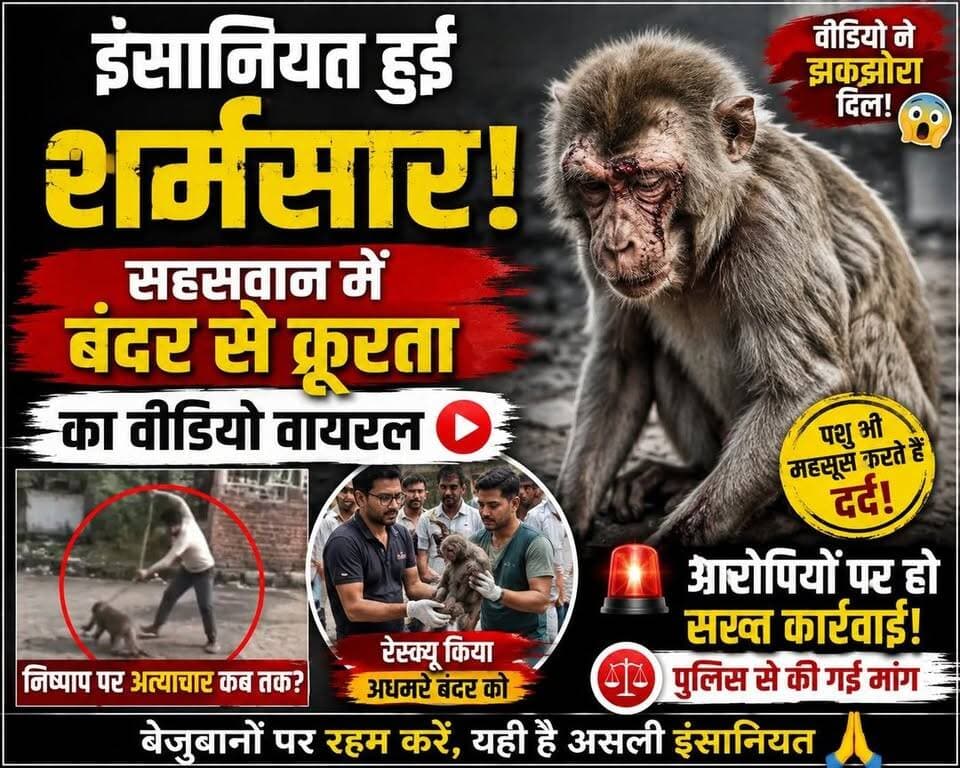 इंसानियत हुई शर्मसार! सहसवान में बंदर से क्रूरता का वीडियो वायरल, रेस्क्यू के बाद आरोपियों पर कार्रवाई की उठी मांग | #Sahaswan #Badaun #AnimalCruelty #MonkeyRescue #PeopleForAnimals #BreakingNews #UPNews #WildlifeProtection #SatyamevBharatNews #ViralNews सत्यमेव भारत न्यूजVikendra SharmaEr Rana Pratap SinghAnirudha Mishra