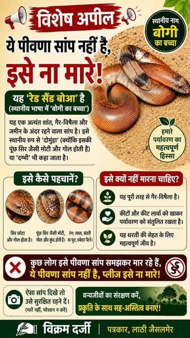 विशेष अपील .....ये पीवणा सांप नहीं है, इसे ना मारे !