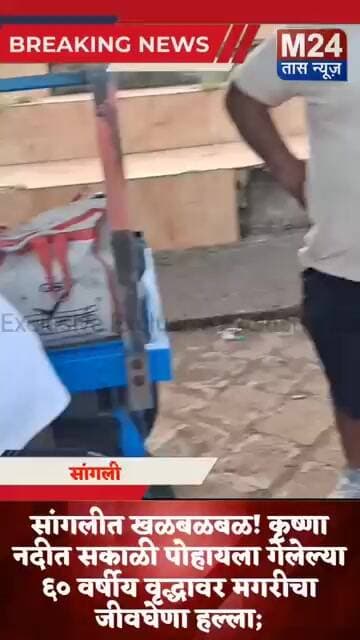 कृष्णा नदीत सकाळी पोहायला गेलेल्या ६० वर्षीय वृद्धावर मगरीचा जीवघेणा हल्ला