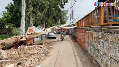 बांदा: अग्निशमन विभाग की बाउंड्री से लगा आंधी में गिरा यूकेलिप्टस का पेड़ बना खतरा, बजरंग विद्यालय मार्ग अब भी अवरुद्ध
बांदा। पिछले माह आई तेज आंधी-तूफान में पीली कोठी से बाबूलाल चौराहा मार्ग पर स्थित अग्निशमन विभाग (फायर स्टेशन) की बाउंड्री से लगा एक विशाल यूकेलिप्टस का पेड़ गिर गया था। पेड़ गिरने से कुछ समय के लिए ब्रिज का मार्ग अवरुद्ध हो गया था, जिसे संबंधित विभाग द्वारा तत्काल खुलवा दिया गया।
हालांकि, इसी स्थान से जुड़े बजरंग विद्यालय मार्ग पर गिरे पेड़ के आधे हिस्से को अब तक नहीं हटाया गया है। इसके चलते यह रास्ता आज भी अवरुद्ध है, लोग सर झुकाकर निकल रहे हैं और राहगीरों, विद्यार्थियों तथा स्थानीय लोगों को भारी परेशानी का सामना करना पड़ रहा है। स्थानीय लोगों का कहना है कि यदि समय रहते पेड़ नहीं हटाया गया तो कभी भी बड़ा हादसा हो सकता है।
क्षेत्रवासियों ने संबंधित विभाग और नगर प्रशासन से मांग की है कि अग्निशमन विभाग की बाउंड्री से लगे इस गिरे हुए यूकेलिप्टस के पेड़ को शीघ्र हटाकर बजरंग विद्यालय मार्ग को पूरी तरह चालू कराया जाए, ताकि लोगों को आवागमन में हो रही परेशानी दूर हो सके और किसी संभावित दुर्घटना से बचा जा सके।
UP 90 Creator
#BandaNews #UP90Creator #RoadSafety #Banda