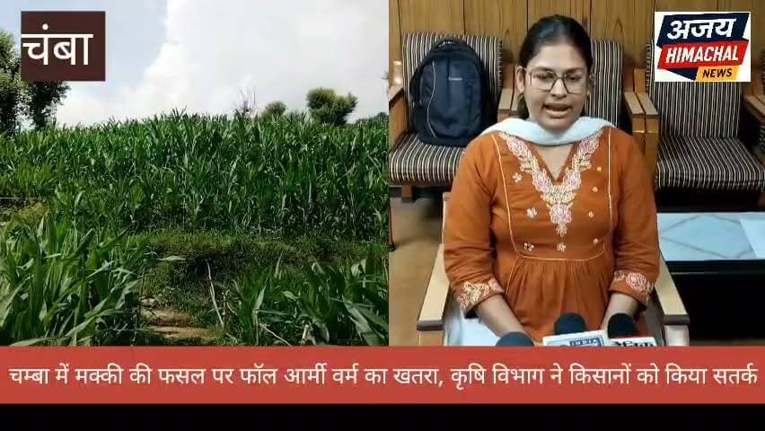 चम्बा में मक्की की फसल पर फॉल आर्मी वर्म के हमले की संभावना के कारण कृषि विभाग ने किसानों को सावधानी बरतने के लिए निर्देश जारी किया है। Ajay Himachal News #HimachalNews #hightlight #chamba #kishanchallenge #agriculturelife