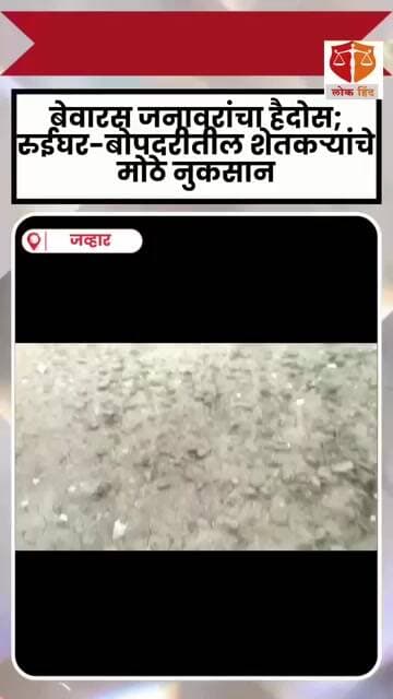 बेवारस जनावरांचा हैदोस; रुईघर-बोपदरीतील शेतकऱ्यांचे मोठे नुकसान