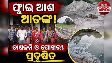 ମିର୍ବାଡେରାରେ ବେଆଇନ ଫ୍ଲାଇ ଆଶ ପକାଇବା ଅଭିଯୋଗ, ୫୦ ଏକରରୁ ଅଧିକ ଚାଷଜମି ଓ ପୋଖରୀ ପ୍ରଦୂଷିତ; ଜିଲ୍ଲାପାଳଙ୍କ ହସ୍ତକ୍ଷେପ ଦାବି
#odiabhaskar #odisha #jharasuguda #viralreels
