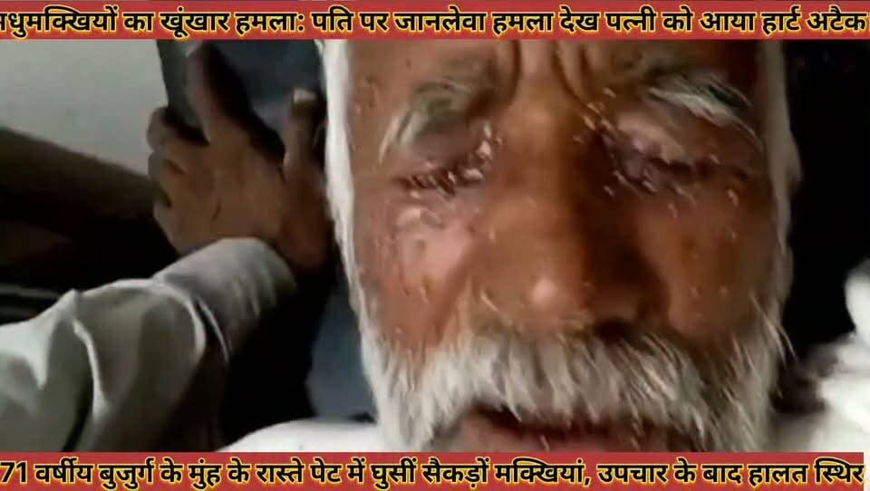 #मधुमक्खियों_का_खूंखार_हमला_पति_पर_जानलेवा_हमला_देख #पत्नी_को_आया_हार्ट_अटैक_मौके_पर_ही_मौत
#madhumkkhiyo #ka #khunkhar #hamla #pati #par #jaanlewa #hamla #dekh #patni #ko #aaya #hart #atek #moke #par #hi #mout #news #didwanajila