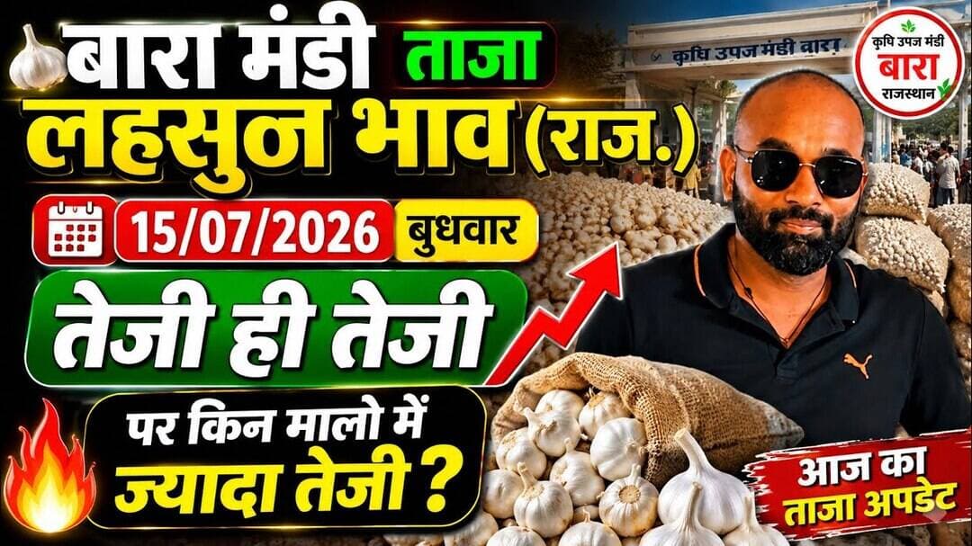 15 July 2026 बारा मंडी लहसुन भाव #ताजा मंडी लहसुन भाव#today garlice price #मंडी भाव#