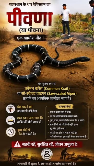 राजस्थान के थार रेगिस्तान का पीवणा सांप एक खामोश मौत !