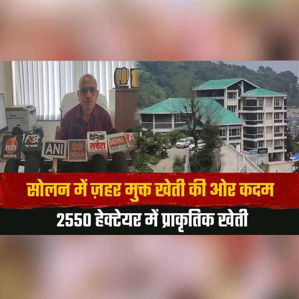 सोलन में ज़| हर मुक्त खेती की ओर कदम
2550 हेक्टेयर में प्राकृतिक खेती
#Solan #NaturalFarming #OrganicFarming #PoisonFreeFarming #SustainableAgriculture #HimachalNews #Farmers #BreakingNews #GreenFarming #IndiaAgriculture #thesummernewshimachal