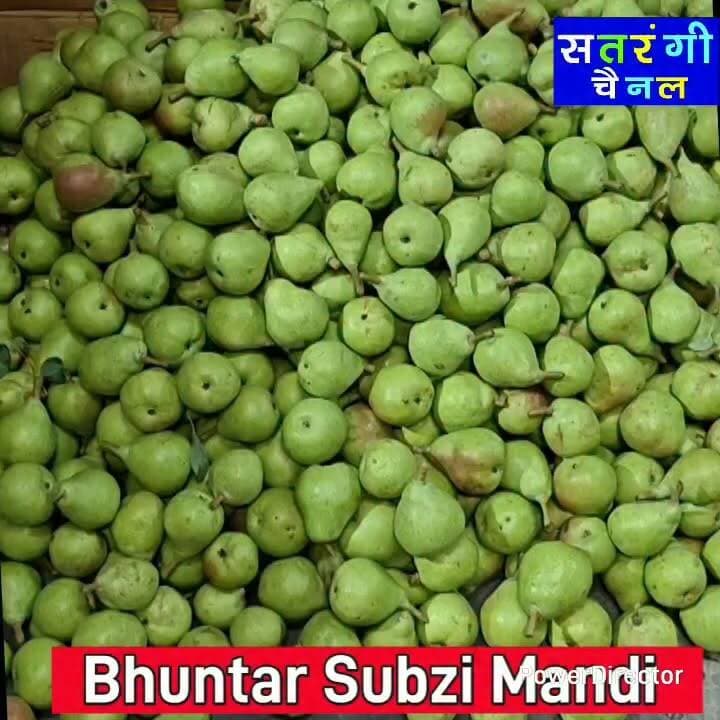 भुंतर सब्ज़ी मंडी में आज दिनांक 15 जुलाई को फ़लों के थोक भाव इस प्रकार रहे | इन रेट में परिवर्तन हो सकता है | देखें वीडियो....
#bhuntarsubzimandi #takolisubzimandii #satrangichannel #solansubzimandi #azadpursubzimandi