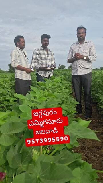 జగ్గపురం ఎమ్మిగనూరు జలవాడి Velox రిజల్ట్ సూపర్ మొదటి స్ప్రే