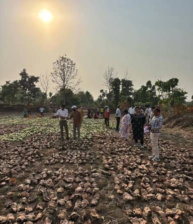 हरा सोना ने बदली जिंदगी, ग्रामीणों के लिए बना आर्थिक संबल
- तेंदूपत्ता संग्रहण से हजारों परिवारों को मिला रोजगार, महिलाओं की भागीदारी बनी आत्मनिर्भरता की मिसाल
- जिले के 37 हजार 131 संग्राहक परिवारों को 30 करोड़ 65 लाख 79 हजार रुपए से अधिक का हुआ भुगतान।
#mmacdistrict_cg #chhattishgarh #तेंदूपत्ता
@chhattisgarhcmo @dpr.chhattisgarh