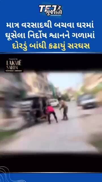 માત્ર વરસાદથી બચવા ઘરના આંગણે બેઠેલા નિર્દોષ શ્વાનને ગળામાં દોરડું બાંધી કાઢ્યું સરઘસ #ytnewshorts