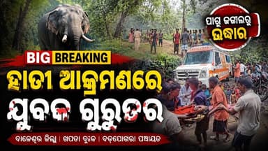 ହାତୀ ଆକ୍ରମଣରେ ରକ୍ତାକ୍ତ ଯୁବକ, ଜଙ୍ଗଲରୁ ଜୀବନ୍ତ ଉଦ୍ଧାର! #abhayanews #balasore #ହାତୀ ଆକ୍ରମଣ