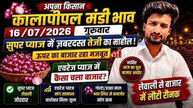 16 जुलाई 2026 को कालापीपल मंडी में लहसुन और प्याज का भाव