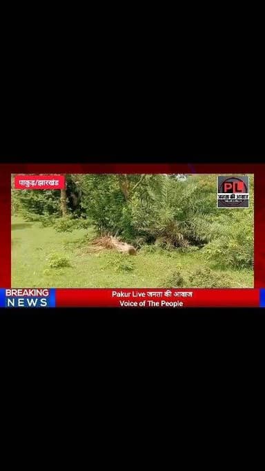 मनरेगा में अनियमितता का आरोप, कागजों में पूरी हुई बागवानी और कुआं योजना, जमीन पर नहीं दिखा कार्य #nonfollowers #trendingreel #facebookviral #allfollowers
Breaking update from Pakur: These deep excavations are posing a serious risk to the public. We need to address this before someone gets hurt. Please share this to keep everyone informed. #BreakingNews #Pakur #JharkhandNews #PublicAlert
