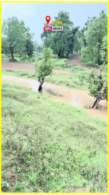 गढ़वा के इलाकों में झमाझम बारिश, 18 जुलाई तक भारी बारिश की संभावना #jharkhand #weatherforecast