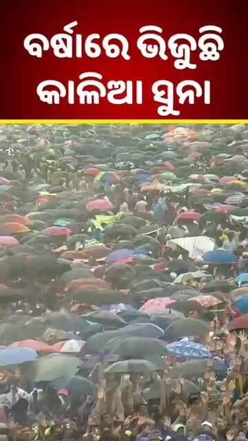 ବର୍ଷାରେ ଭିଜୁଛି କାଳିଆ ସୁନା ⭕❗⭕ 🙏🏻 Shorts | Jagannath | Puri