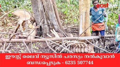 ചെരിഞ്ഞ ആനയുടെ അവശിഷ്ടങ്ങള് കണ്ടെത്തി