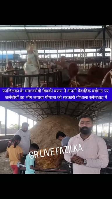फाजिलका के समाजसेवी विक्की बत्तरा ने अपनी वैवाहिक वर्षगांठ पर जलेबीयों का भोग लगाया गौमाता को सरकारी गोशाला स्लेमशाह में
