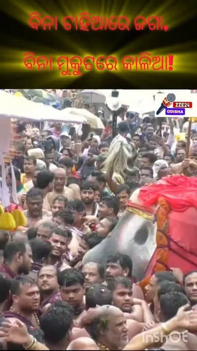 ବିନା ଟାହିଆରେ ଜଗା, ବିନା ମୁକୁଟରେ କାଳିଆ! ଦୋହଲି ଦୋହଲି ଆସିଲେ ବଡ଼ ଠାକୁର