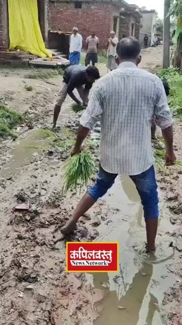 बरहपुर में सड़क पर धान की रोपाई, बदहाल रास्ते के खिलाफ ग्रामीणों का अनूठा प्रदर्शन