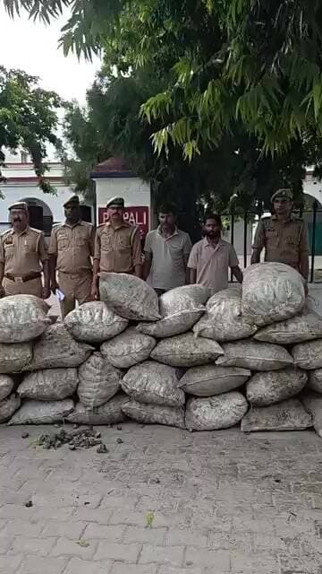 पाली पुलिस ने दो सीप तस्करों को किया गिरफ्तार, 18 कुंटल सीप बरामद