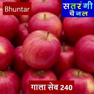 भुंतर सब्ज़ी मंडी में आज दिनांक 16 जुलाई को फ़लों के थोक भाव इस प्रकार रहे | इन रेट में परिवर्तन हो सकता है | देखें वीडियो....
#bhuntarsubzimandi #takolisubzimandii #satrangichannel #solansubzimandi #azadpursubzimandi