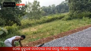 ପୋଷା କୁକୁରଙ୍କ ସତର୍କତାରେ ବଞ୍ଚିଲା ପରିବାର, ଭୀଷ୍ମ ସେଠଙ୍କ ଘରୁ ବିଶାଳ ନାଗ ଉଦ୍ଧାର