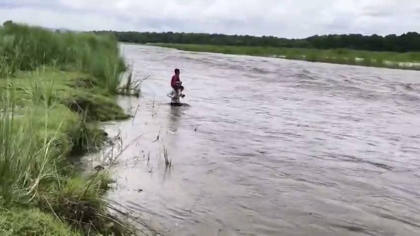 उफनती नदी में बेटे को कंधे पर बैठाकर स्कूल पहुंचाने निकला पिता, वायरल वीडियो ने बयां की दोन क्षेत्र की मजबूरी। पश्चिम चंपारण के बगहा का मामला
#bihar
#khabarlakhisarai
#pachmichamparan