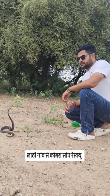 लाठी गांव से कोबरा सांप रेस्क्यू