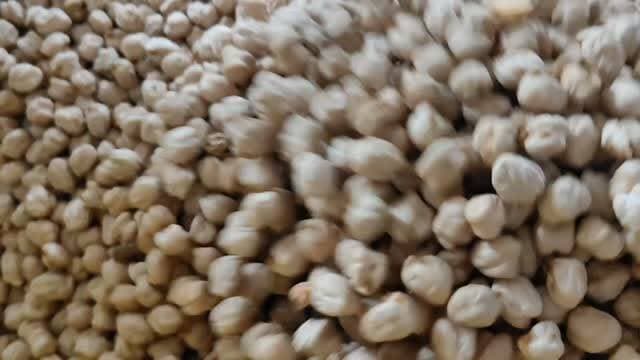 आज धामनोद मंडी में डालर चना अच्छी क्वालिटी का 9005 तक बिका, बाकी आज अच्छे माल की आवके कम रही,
आज डॉलर चना 9005, 8500, 8400, 8200, 8150, 8100, 8050, 8005, 8000, 7900, 7800, 7700, 7300 के क्रम में बिका
17 जुलाई 2026
Dhamnod Mandi Bhav
.
.
.
.
.
.
.
.
.
.
.
.
.
.
.
.
#dhamnodmandibhav #dhamnodmandi #dollarchanamandibhav #dollarchanamandi #mandibhavtoday