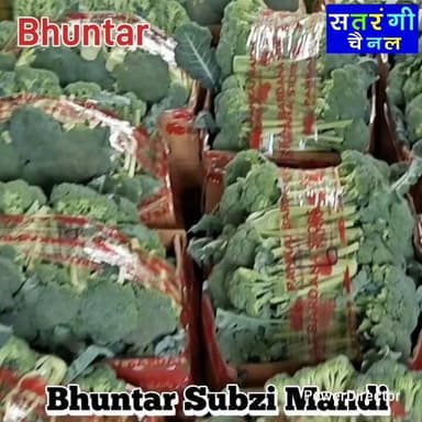 भुंतर सब्ज़ी मंडी में आज दिनांक 17 जुलाई को फ़लों के थोक भाव इस प्रकार रहे | इन रेट में परिवर्तन हो सकता है | देखें वीडियो....
#bhuntarsubzimandi #takolisubzimandii #satrangichannel #solansubzimandi #azadpursubzimandi