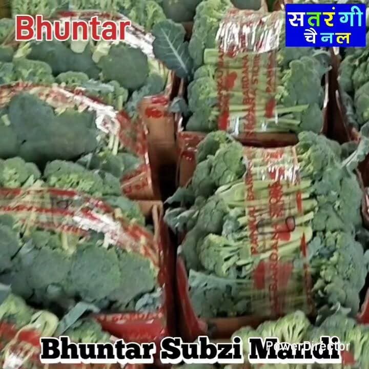 भुंतर सब्ज़ी मंडी में आज दिनांक 17 जुलाई को फ़लों के थोक भाव इस प्रकार रहे | इन रेट में परिवर्तन हो सकता है | देखें वीडियो....
#bhuntarsubzimandi #takolisubzimandii #satrangichannel #solansubzimandi #azadpursubzimandi