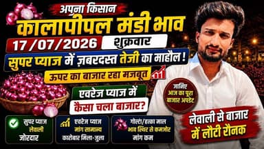 17 जुलाई 2026 को कालापीपल मंडी में लहसुन और प्याज के भाव जाने