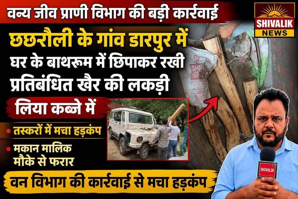 वन्य जीव प्राणी विभाग कलेसर ने डारपुर गांव में छापामारी कर एक घर के बाथरूम से खैर की लकड़ी बरामद की है,मकान मालिक मौके से फरार
#hr71 #Sadora #jagadhri #YNR #cmoharyana #Satluj #JaswantSinghKhalra #widelife #KhairWood