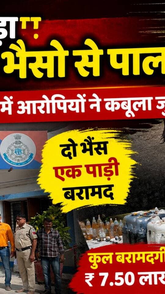 महिदपुर सिटी पूलिस