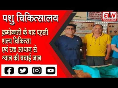 पशु चिकित्सालय में पहली शल्य चिकित्सा एवं रक्त आधान से श्वान की बचाई जान // 17 JULY 2026