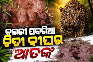 #କଲରା_ପତରିଆ_ଚିତା_ବାଘର_ଆତଙ୍କ
#Sundargarh
#Odisha
#OdishaNews
#OdiaNews
#Update
#LatestNews
#NewsUpdate
#LatestUpdates
#viralpost
#odishrilive